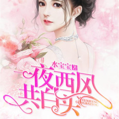 都市言情：一夜西风共白头