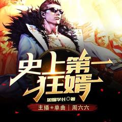 史上第一狂婿
