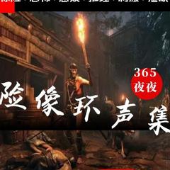 《险像环声集》