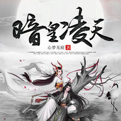 暗皇凌天