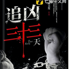 追凶三十三天