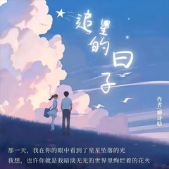 追星的日子