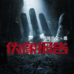 伪像报告