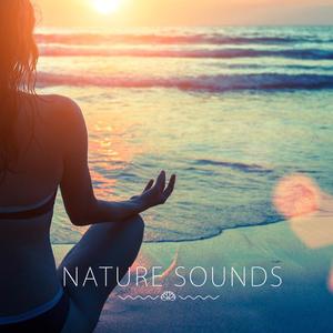 Studeer Muziek&Musique pour l’Etude&Musica Para Estudiar Y Concentrarse - Nature