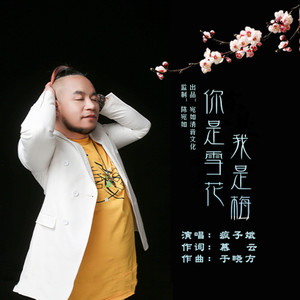 疯子斌 - 你是雪花我是梅