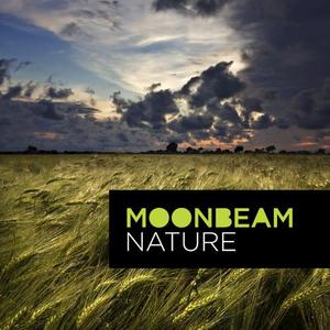 Moonbeam《Nature(Joel Armstrong Remix)》[MP3_LRC]