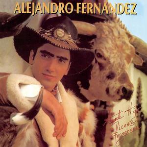 Alejandro Fernández《A Pesar De Todo》[MP3_LRC]