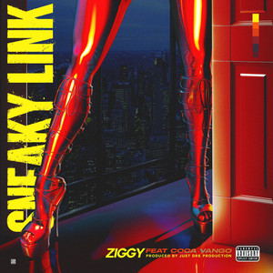 Ziggy&Coca Vango《Sneaky Link(Explicit)》[MP3_LRC]