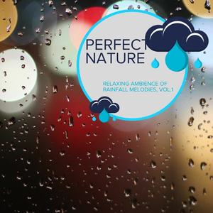 Gentle Rainbow Studio《Careless Moderate Rain》