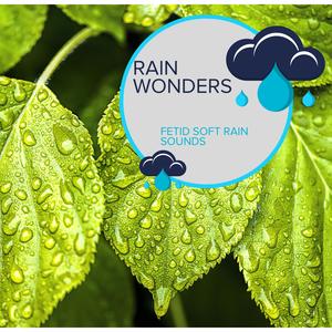 Earth Beauty Rain Music - Blue Rain and Thunder