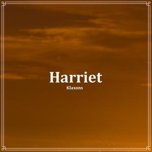 Klaxons《Harriet》[MP3_LRC]