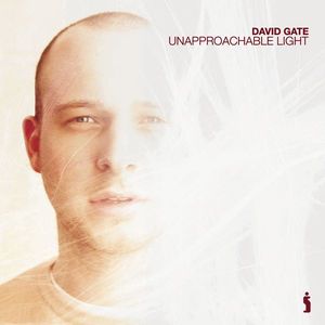 David Gate《Unapproachable Light》[MP3_LRC]