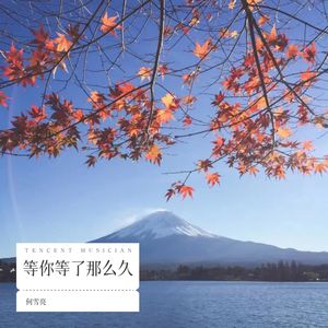 何雪亮 - 最幸福的人 (cover: 娟子)