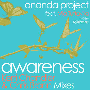 Ananda Project&MIA Tuttavilla《Awareness(Chris Brann Dub)》[MP3_LRC]