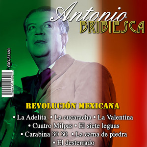 Antonio Bribiesca《Pajarillo Barranqueño》[MP3_LRC]