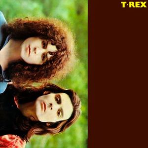 T. Rex《Diamond Meadows》[MP3_LRC]