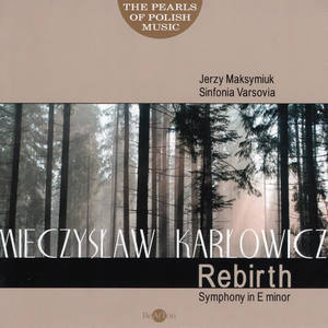 Jerzy Maksymiuk&Orchestra Sinfonia Varsovia《I. Andante - Allegro》[MP3_LRC]