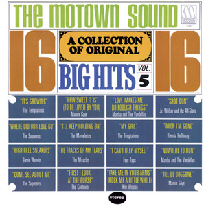 Martha & the Vandellas《Love (Makes Me Do Foolish Things)("16 Big Hits" Version)》[MP3_LRC]