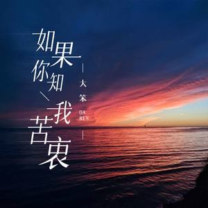 大笨《如果你知我苦衷》[MP3_LRC]