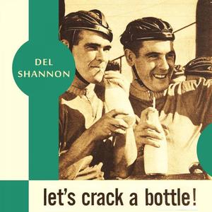 Del Shannon《He Doesn't Care》[MP3_LRC]