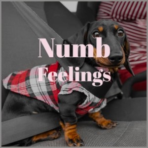 Jesse Shobbrook《Numb Feelings》[MP3_LRC]