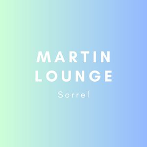 Martin Lounge《Illnexss》[MP3_LRC]