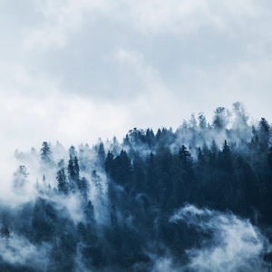 Nature Recordings&Classical Study Music&Sleep Makers Samples - Floating Fantasy