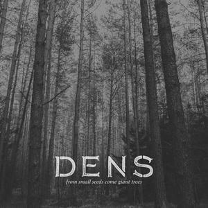 DeNS - Hopebringer