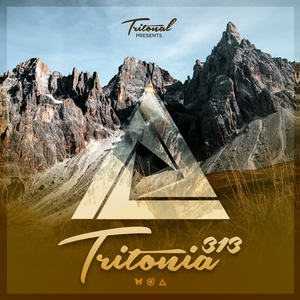 Tritonal&Linney&Taylor Torrence《Electric Kids(Tritonia 313)(Taylor Torrence Remix)》[MP3_LRC]