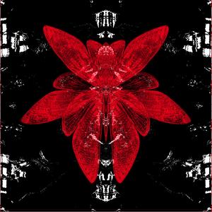Overknight&Xylomar - Valk