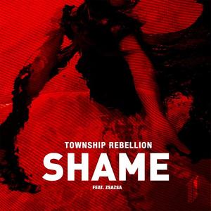 Township Rebellion&ZsaZsa《Shame(Radio Edit)》[MP3_LRC]