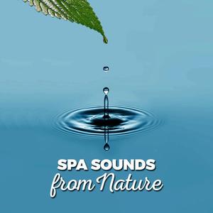 Sounds of Nature Relaxation - Rhythm of the Water