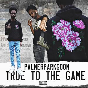 PALMERPARKGOON - Bounty