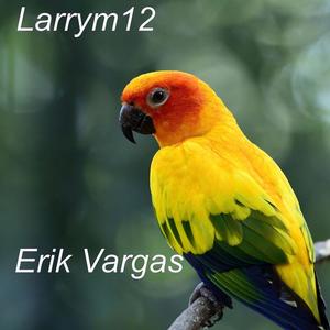 Erik Vargas《Where the Sky Meets the Sea》[MP3_LRC]