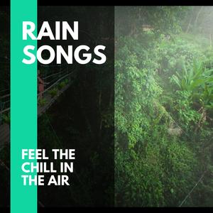 Misty Rain Sound Project - Soothing Rain in the Wild