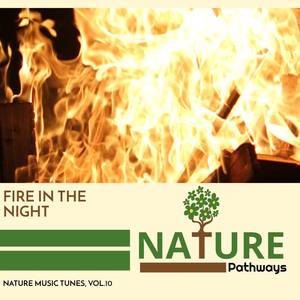 Blaze Bouquet 9D Fire Sound - Rainforest Sleep