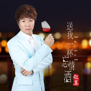 赵真《送我一杯忘情酒(DJ何鹏版)》[MP3_LRC]