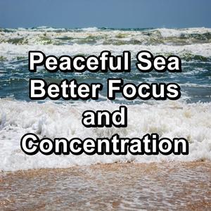 Relaxation and Meditation&Dr. Meditation&Deep Sleep Meditation - Sleepy Sea Sounds Relaxing Nature Help with Studying