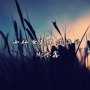 MC冰鑫《小仙女是不喝酒的》[MP3_LRC]