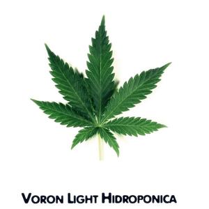 Voron Light&spAce - Just Blue
