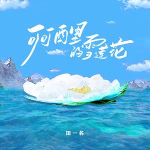 田一名《可可西里的雪莲花(伴奏)》[MP3_LRC]