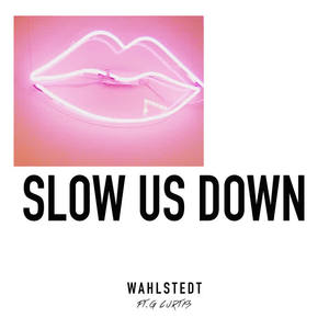 Wahlstedt&G Curtis《Slow Us Down》[MP3_LRC]