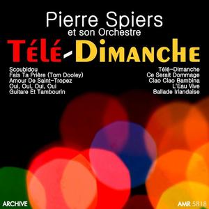 Pierre Spiers et son orchestre&Jerry Mengo《Ce serait dommage》[MP3_LRC]