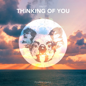 YNOT《Thinking Of You》[MP3_LRC]