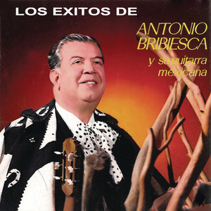 Antonio Bribiesca《Pobre Corazón》[MP3_LRC]