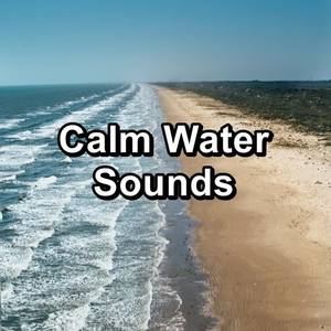 Echoes of Nature&Nature Sounds Radio&Sleep Music - Beach Sounds Soothing Sounds New Age Music