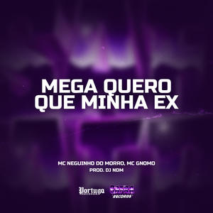 Mc Neguinho do Morro&MC Gnomo&DJ NDM&MC NEGUINHO DO MORRRO《Mega quero q minha ex(Explicit)》[MP3_LRC]