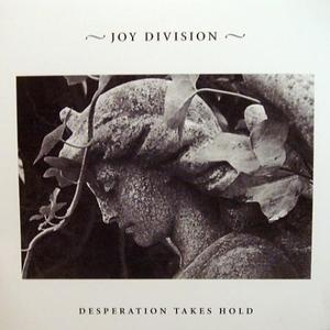 Joy Division《A Means To An End (Live)(其他)》[MP3_LRC]