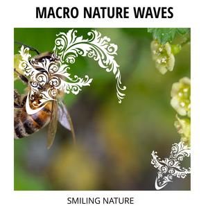 Ocean Field Nature Music Library - Amazing Thunderstorms Lullaby