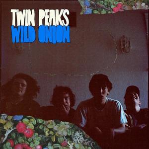 Twin Peaks《Good Lovin'》[MP3_LRC]